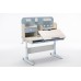 Children Kids Multifunctional Adjustable Study Desk with Double-Winged Swivel Chair